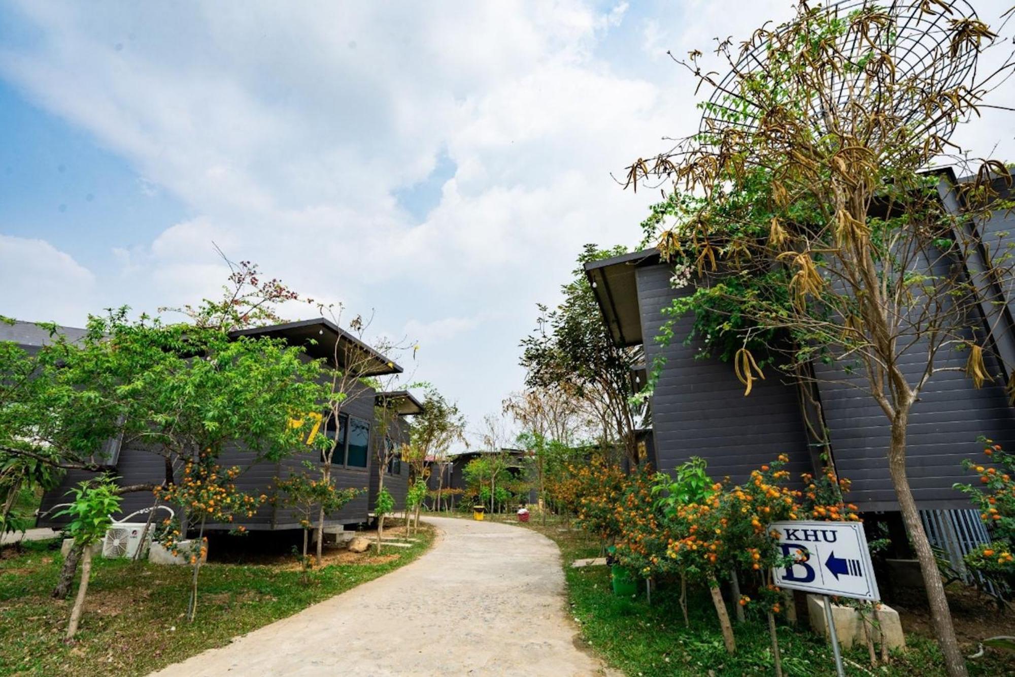 Chuon Chuon Resort Nghia Lo - Free Sauna & Onsen Yen Bai Buitenkant foto